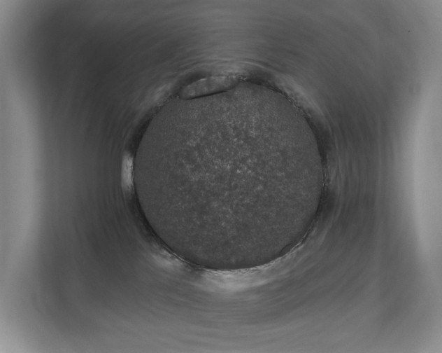 X0000111580041200907231244
