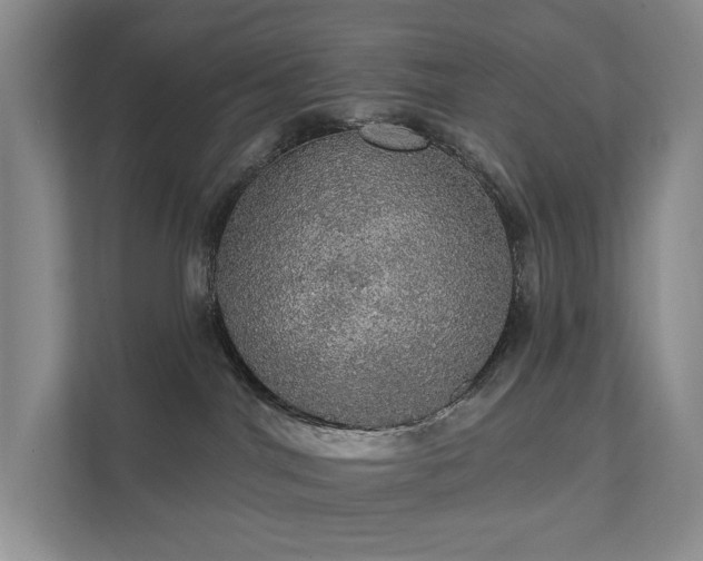 X0000111580044200907231244