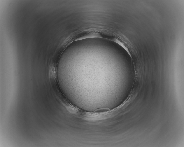 X0000111580045200907231244
