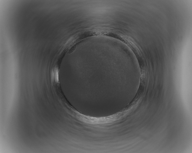 X0000111580046200907231244