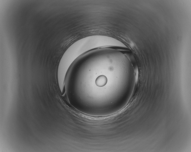 X0000111580047200907231244