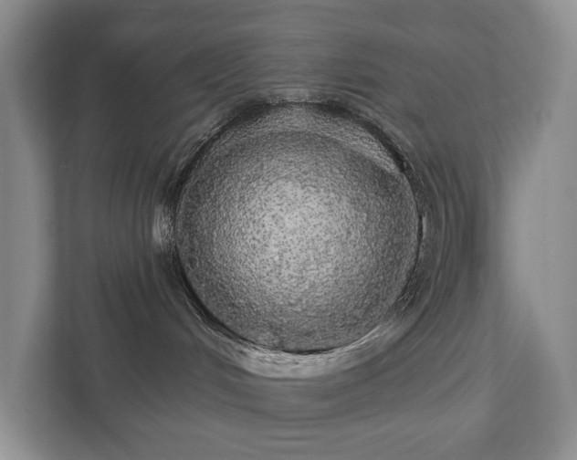 X0000111580048200907231244