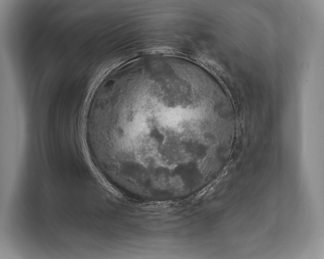 X0000111580049200907231243