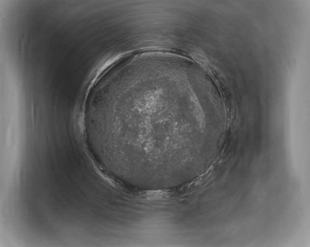 X0000111580050200907231243