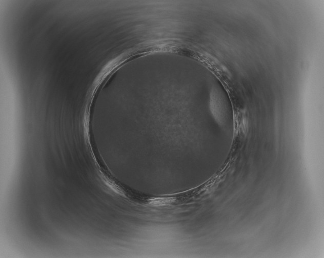 X0000111580051200907231243