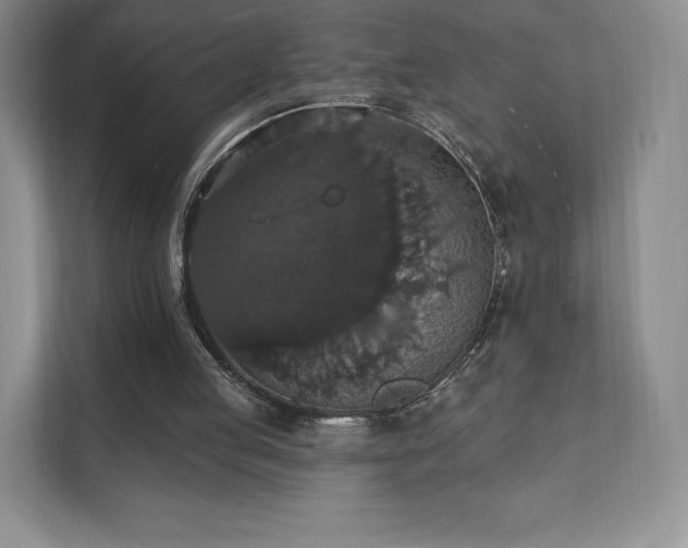 X0000111580053200907231243