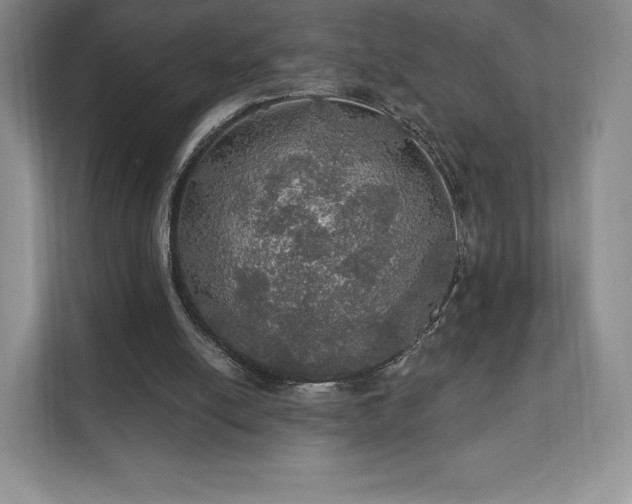 X0000111580054200907231243