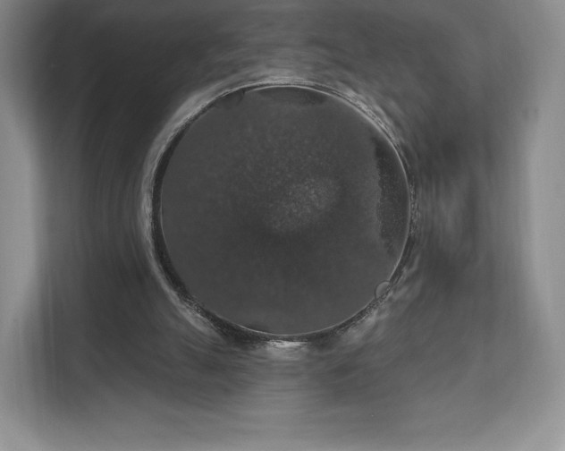 X0000111580055200907231243
