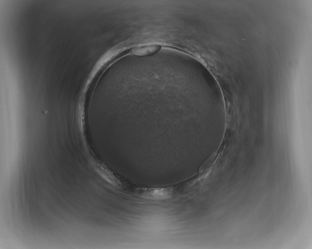 X0000111580056200907231243
