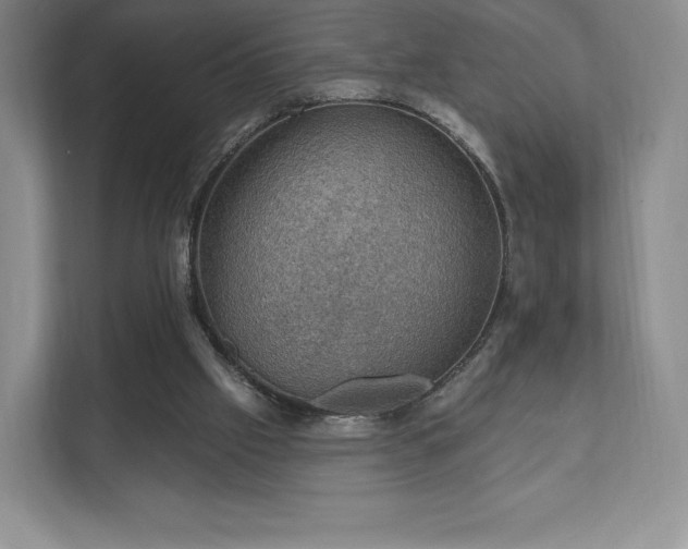 X0000111580057200907231243