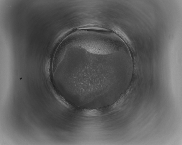 X0000111580058200907231243