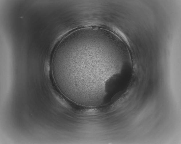 X0000111580059200907231243