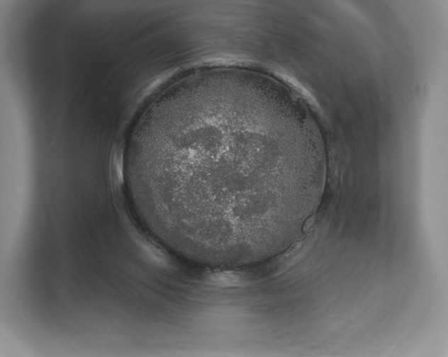 X0000111580062200907231243