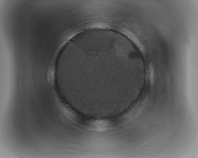 X0000111580063200907231243
