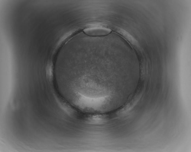 X0000111580064200907231243