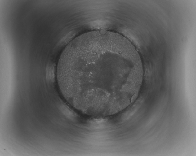 X0000111580065200907231244