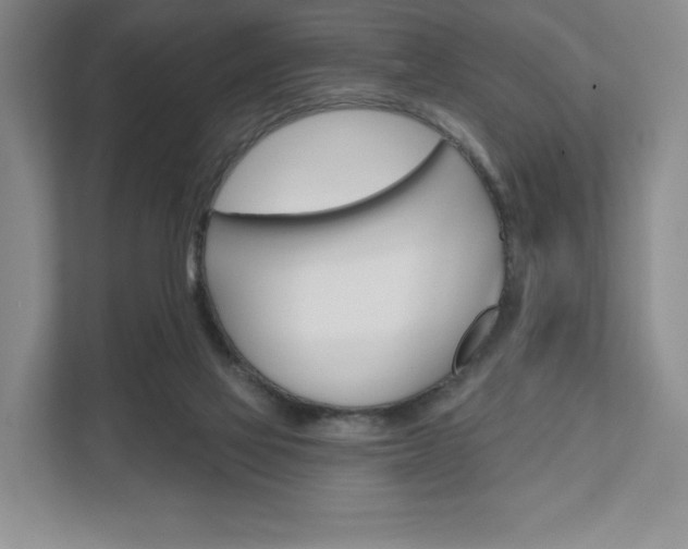 X0000111580069200907231244