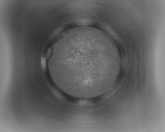 X0000111580070200907231244