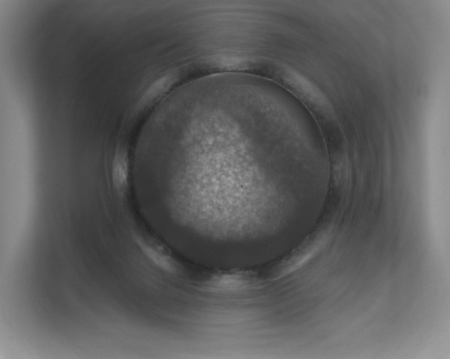 X0000111580072200907231244