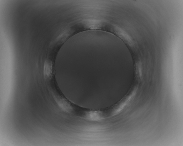 X0000111580073200907231244
