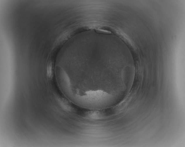X0000111580074200907231244