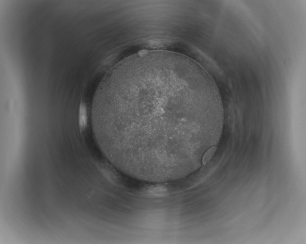 X0000111580075200907231244