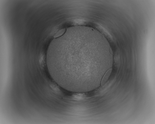 X0000111580079200907231244