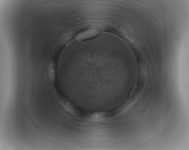 X0000111580080200907231244
