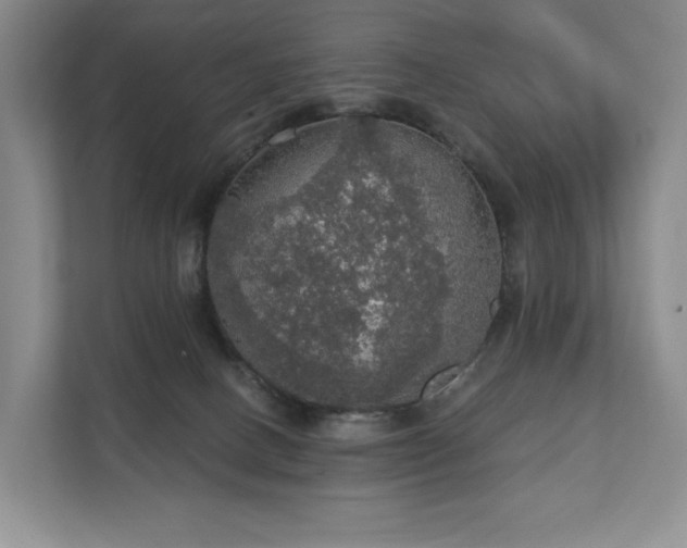X0000111580082200907231244