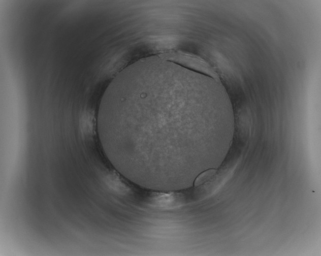 X0000111580083200907231244