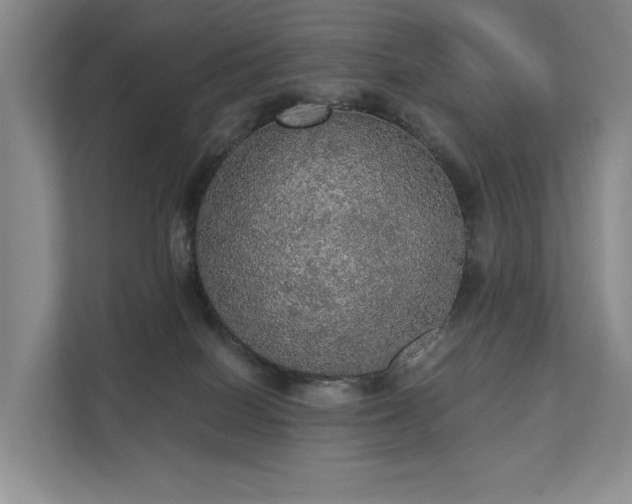 X0000111580086200907231244