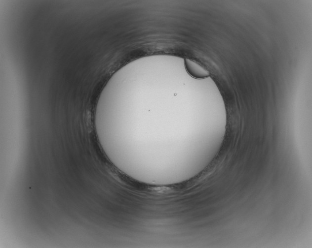 X0000111580087200907231244