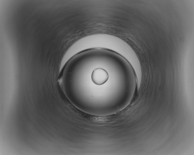 X0000111580088200907231244