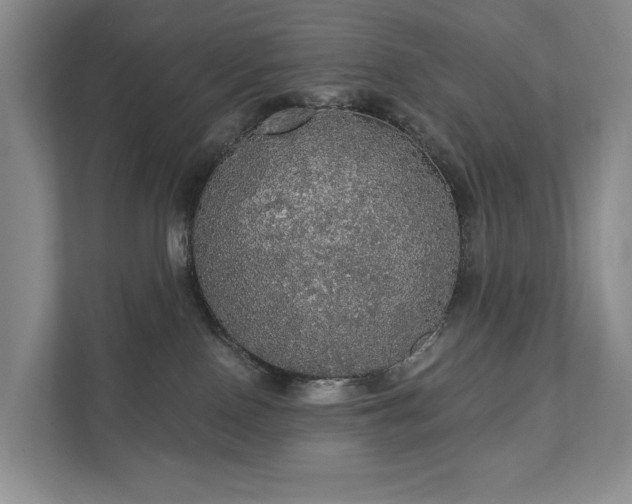 X0000111580090200907231244
