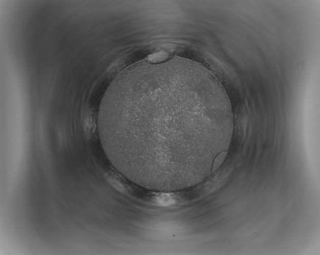 X0000111580091200907231244