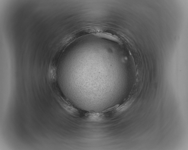 X0000111580096200907231244