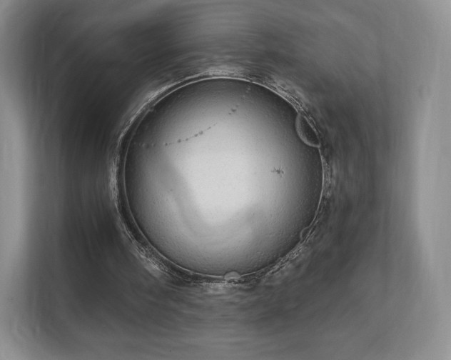 X0000111580098200907231243