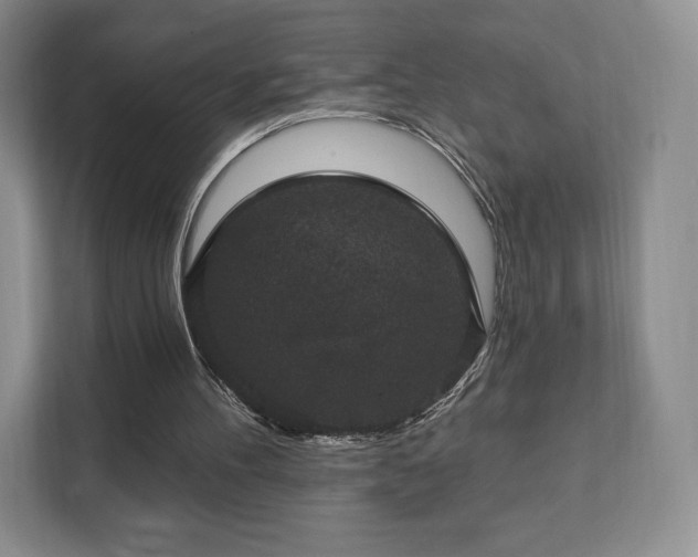 X0000111580100200907231243