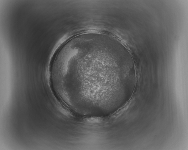 X0000111580102200907231243