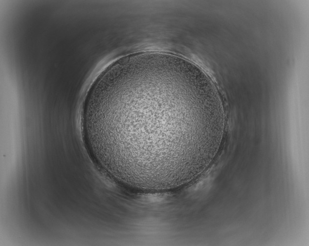 X0000111580103200907231243