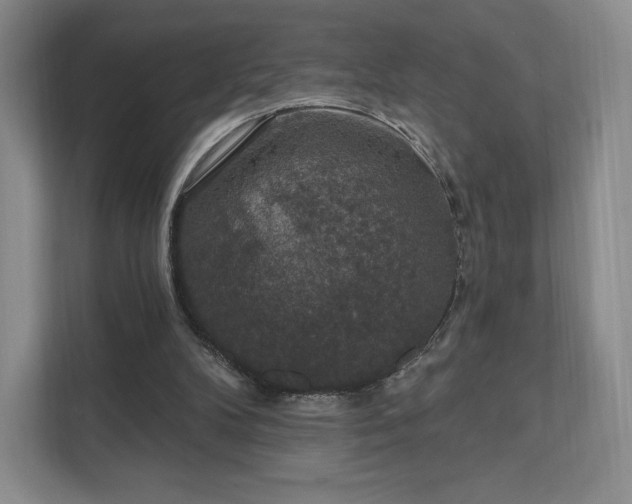 X0000111580104200907231243