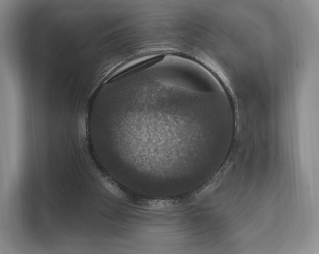 X0000111580105200907231243