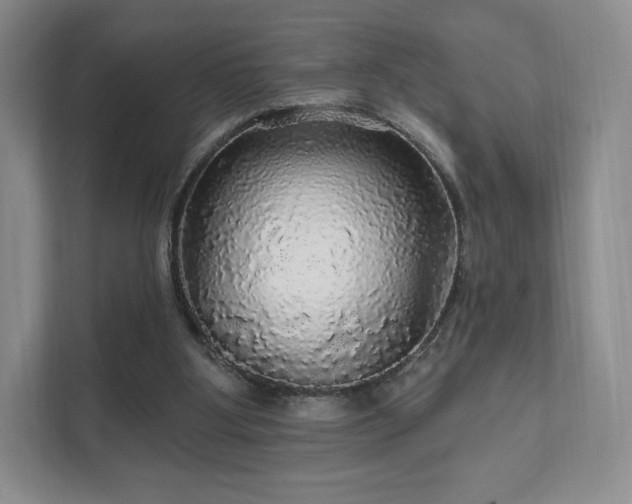 X0000111580107200907231243