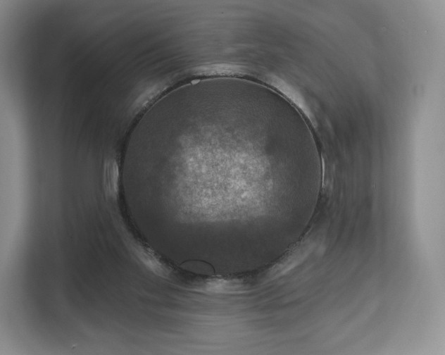 X0000111580109200907231243