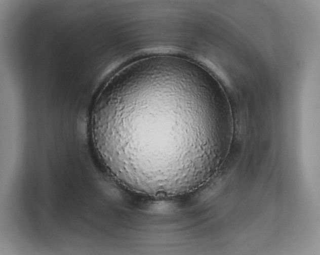 X0000111580111200907231243