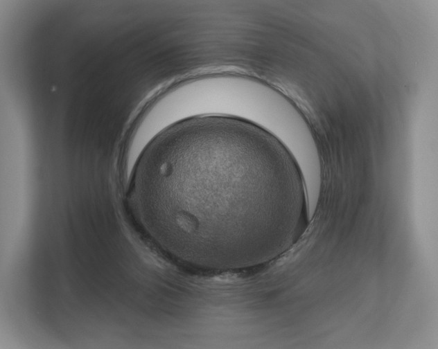 X0000111580112200907231243