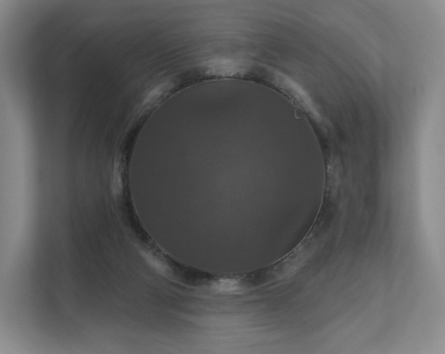X0000111580114200907231243