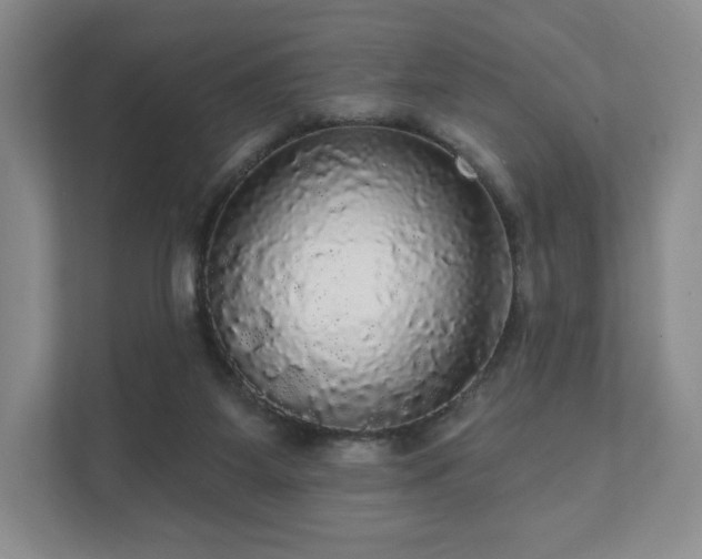 X0000111580115200907231243