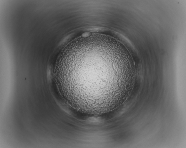 X0000111580119200907231243