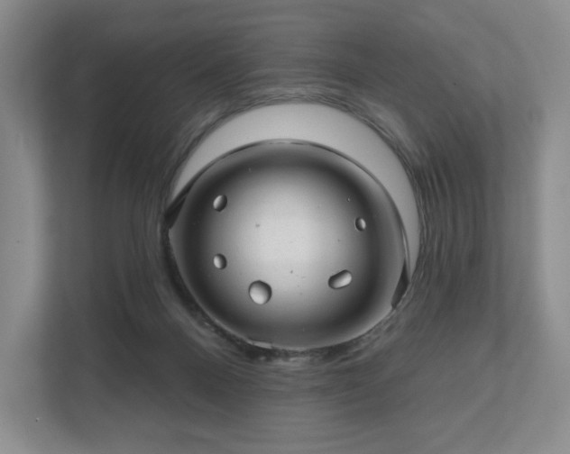 X0000111580120200907231243
